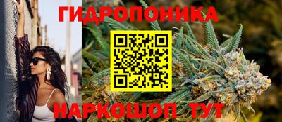 амф Лесосибирск
